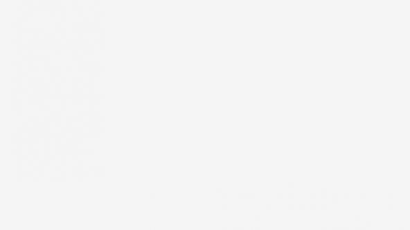 Academic Supervisor (in charge of recruitment and training)